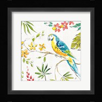 Tropical Oasis IV White Framed Print