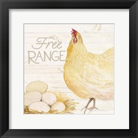 Life on the Farm Chicken IV Framed Print