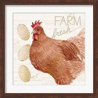 Life on the Farm Chicken II Fine Art Print