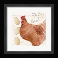 Life on the Farm Chicken II Framed Print