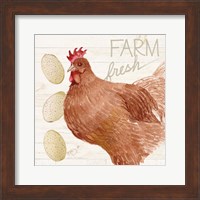 Life on the Farm Chicken II Fine Art Print