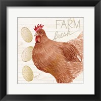 Life on the Farm Chicken II Framed Print