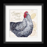 Life on the Farm Chicken I Framed Print