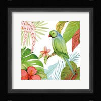 Treasures of the Tropics VII Framed Print