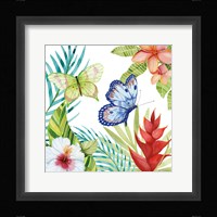 Treasures of the Tropics VI Framed Print