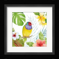 Treasures of the Tropics V Framed Print