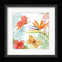 Treasures of the Tropics IV Fine Art Print