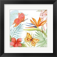 Treasures of the Tropics IV Fine Art Print