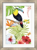 Treasures of the Tropics I Fine Art Print