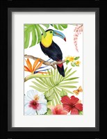 Treasures of the Tropics I Framed Print