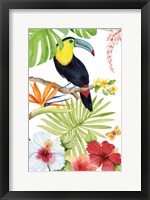 Treasures of the Tropics I Framed Print