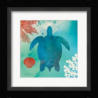 Under the Sea II Framed Print
