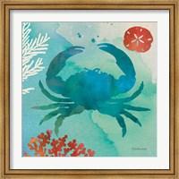 Under the Sea III Fine Art Print