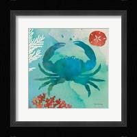 Under the Sea III Framed Print