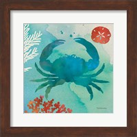 Under the Sea III Fine Art Print
