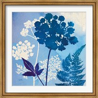 Blue Sky Garden IV Fine Art Print