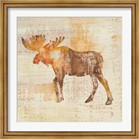 Moose Study Fine Art Print