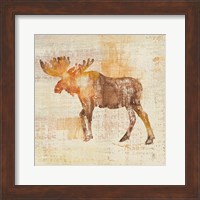 Moose Study Fine Art Print