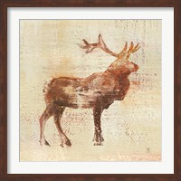 Elk Study v2 Fine Art Print