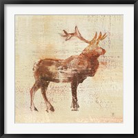 Elk Study v2 Fine Art Print