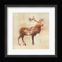 Elk Study v2 Fine Art Print