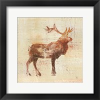 Elk Study v2 Framed Print