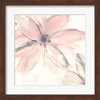 Blush Clematis II Fine Art Print