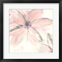 Blush Clematis II Fine Art Print