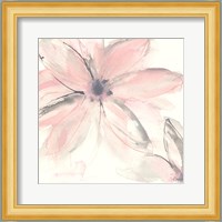 Blush Clematis II Fine Art Print