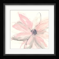 Blush Clematis I Framed Print