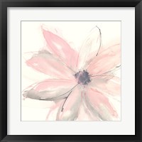 Blush Clematis I Fine Art Print