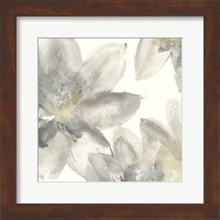 Gray and Silver Flowers I Fine Art Print