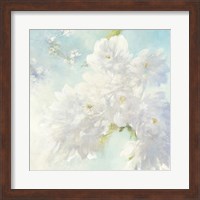 Pear Blossoms Bright Fine Art Print