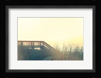 Boardwalk to the Beach Fine Art Print