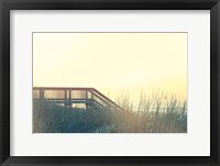 Boardwalk to the Beach Framed Print
