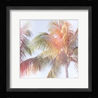 Dream Palm III Framed Print