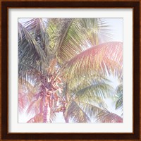 Dream Palm II Fine Art Print