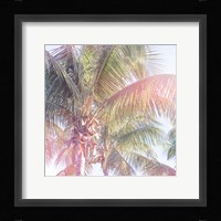 Dream Palm II Fine Art Print
