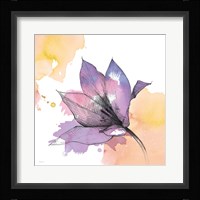 Watercolor Graphite Flower IX Framed Print