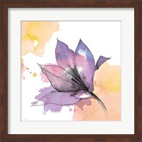 Watercolor Graphite Flower IX Fine Art Print