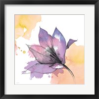 Watercolor Graphite Flower IX Fine Art Print