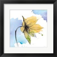 Watercolor Graphite Flower VIII Fine Art Print