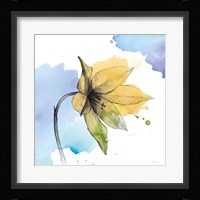 Watercolor Graphite Flower VIII Framed Print