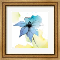 Watercolor Graphite Flower V Fine Art Print