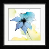 Watercolor Graphite Flower V Framed Print