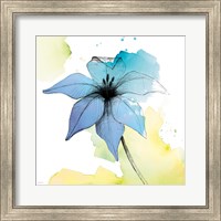 Watercolor Graphite Flower V Fine Art Print