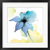 Watercolor Graphite Flower V Framed Print