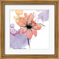 Watercolor Graphite Flower II Fine Art Print