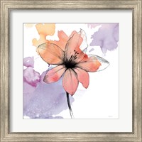Watercolor Graphite Flower II Fine Art Print