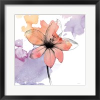 Watercolor Graphite Flower II Fine Art Print